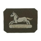 Prince of Wales Own Yorkshire Regiment Beret Badge (4334340046920)