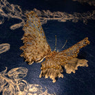 Sculptural Gold Tambour: Beaded Butterfly Embroidery Course