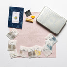 The Compass Goldwork Embroidery Kit 