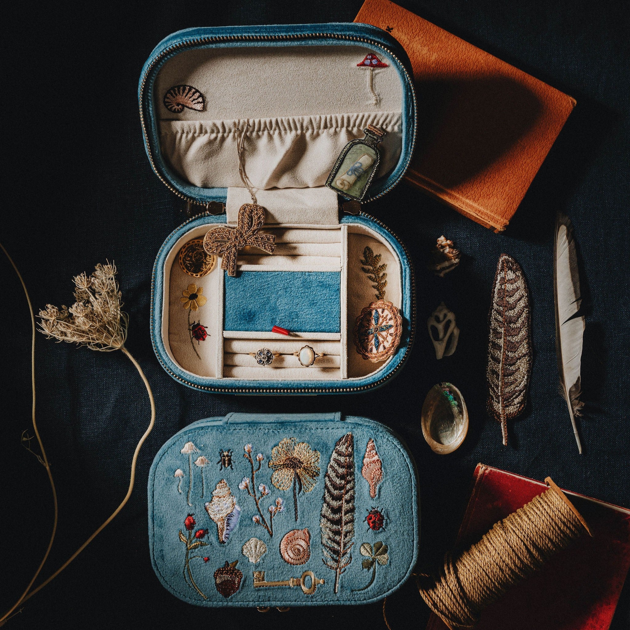The Curiosity Box – Hand & Lock