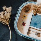 The Curiosity Box - Embroidered Jewellery Box 