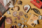 The Explorers Collection 