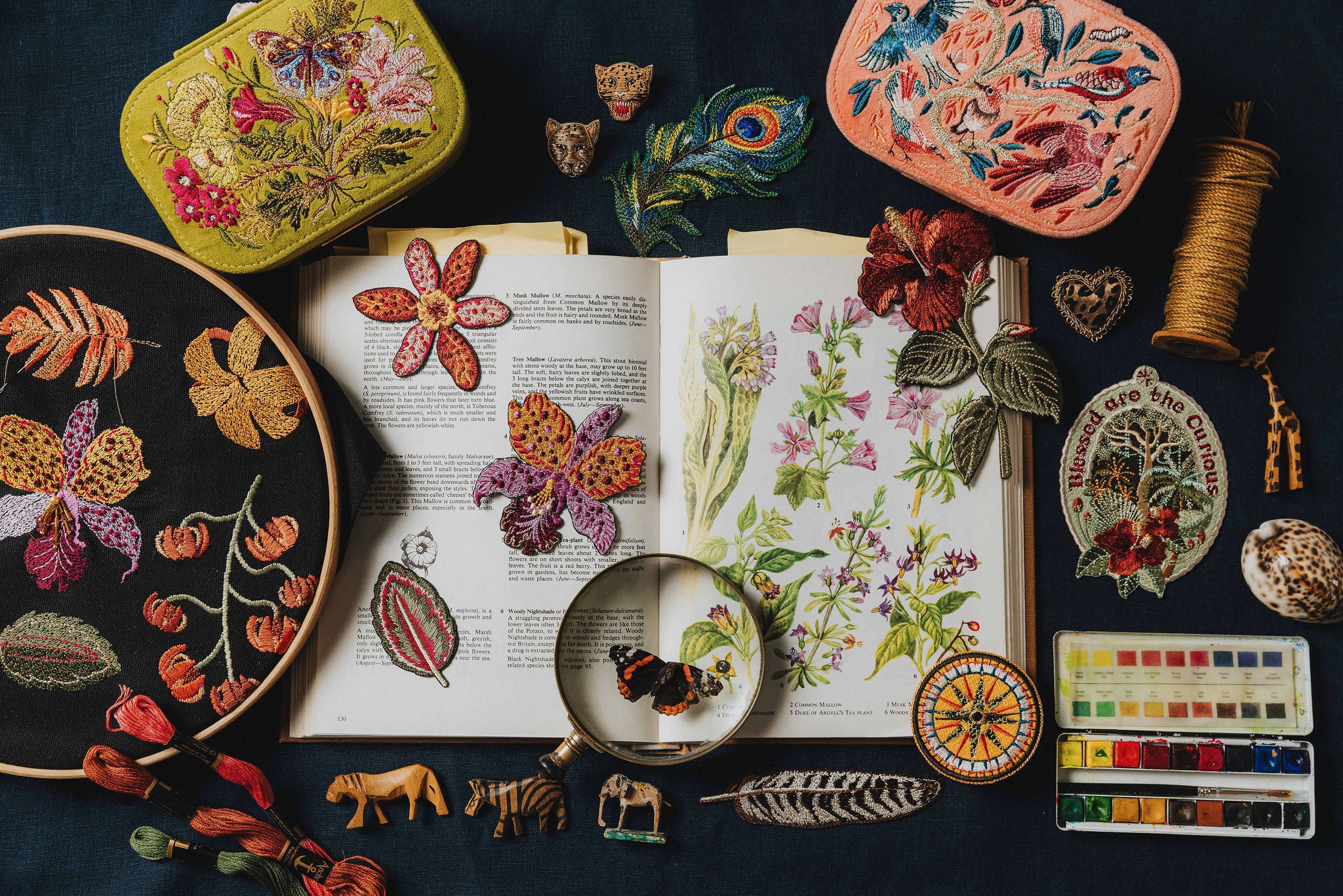 The Explorers Collection 