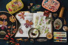 The Explorers Collection 