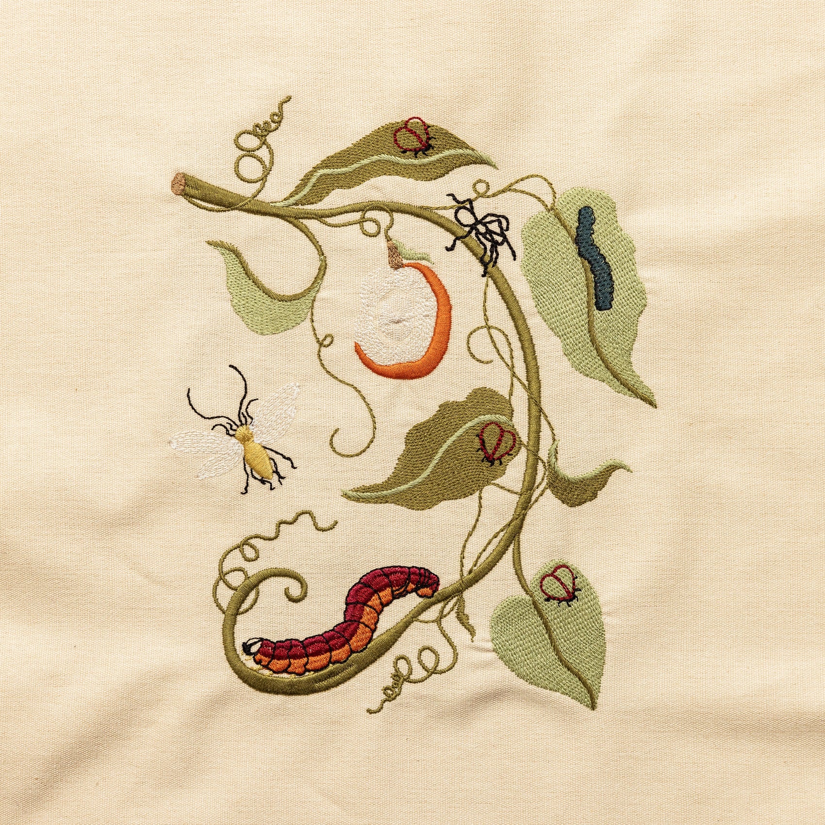 The Maria Sibylla Embroidery Kit