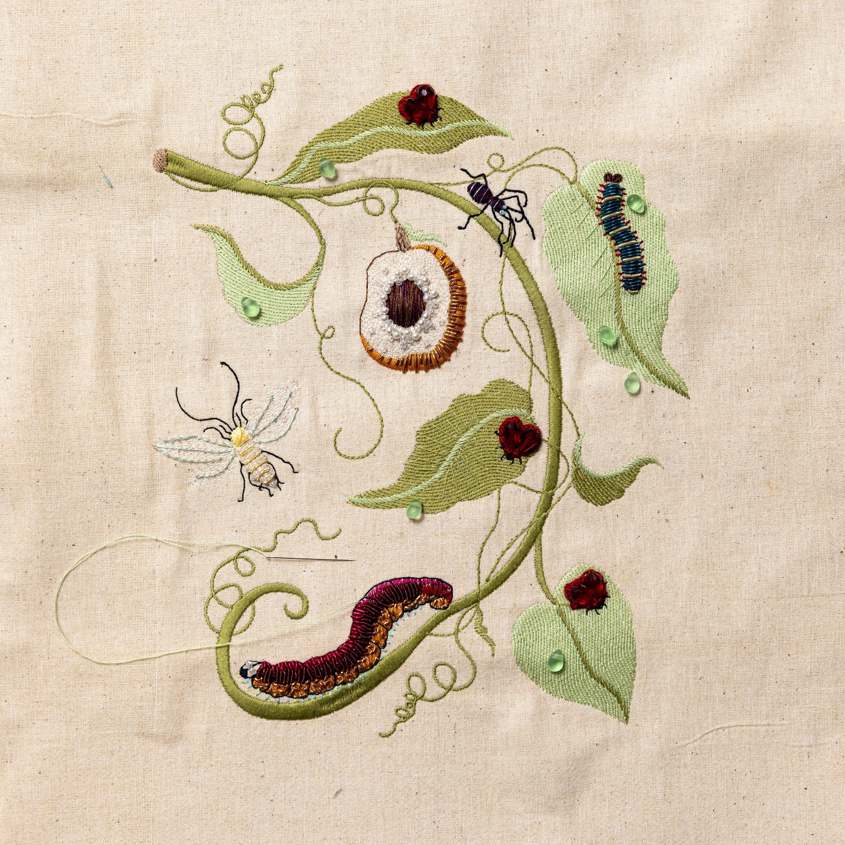 The Maria Sibylla Embroidery Kit