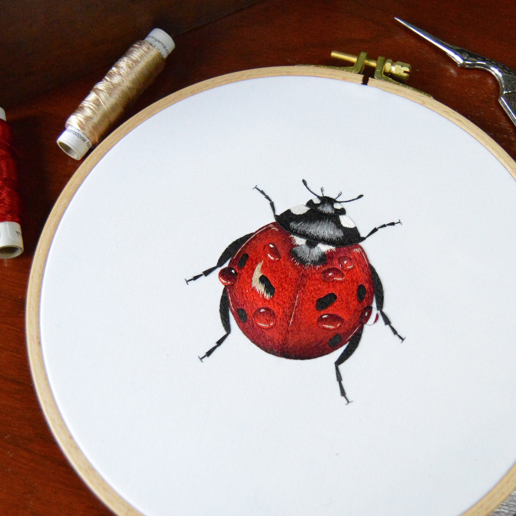 Victoria Matthewson Guest Tutor Hand Embroidery Course 'Silk Shading Ladybird'