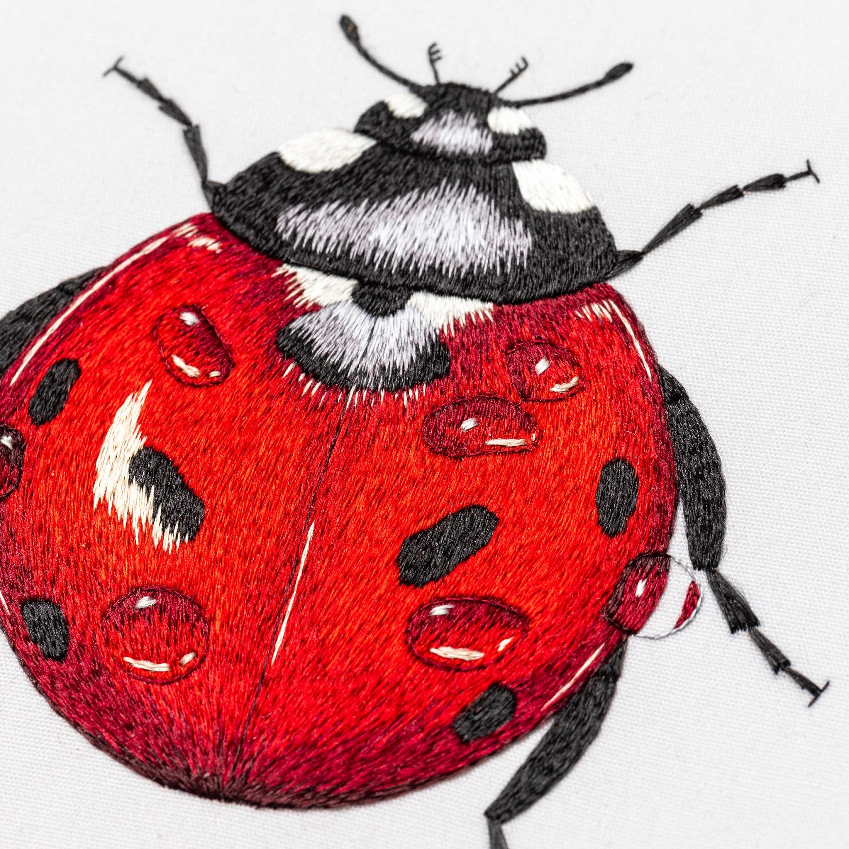Victoria Matthewson Guest Tutor Hand Embroidery Course 'Silk Shading Ladybird'