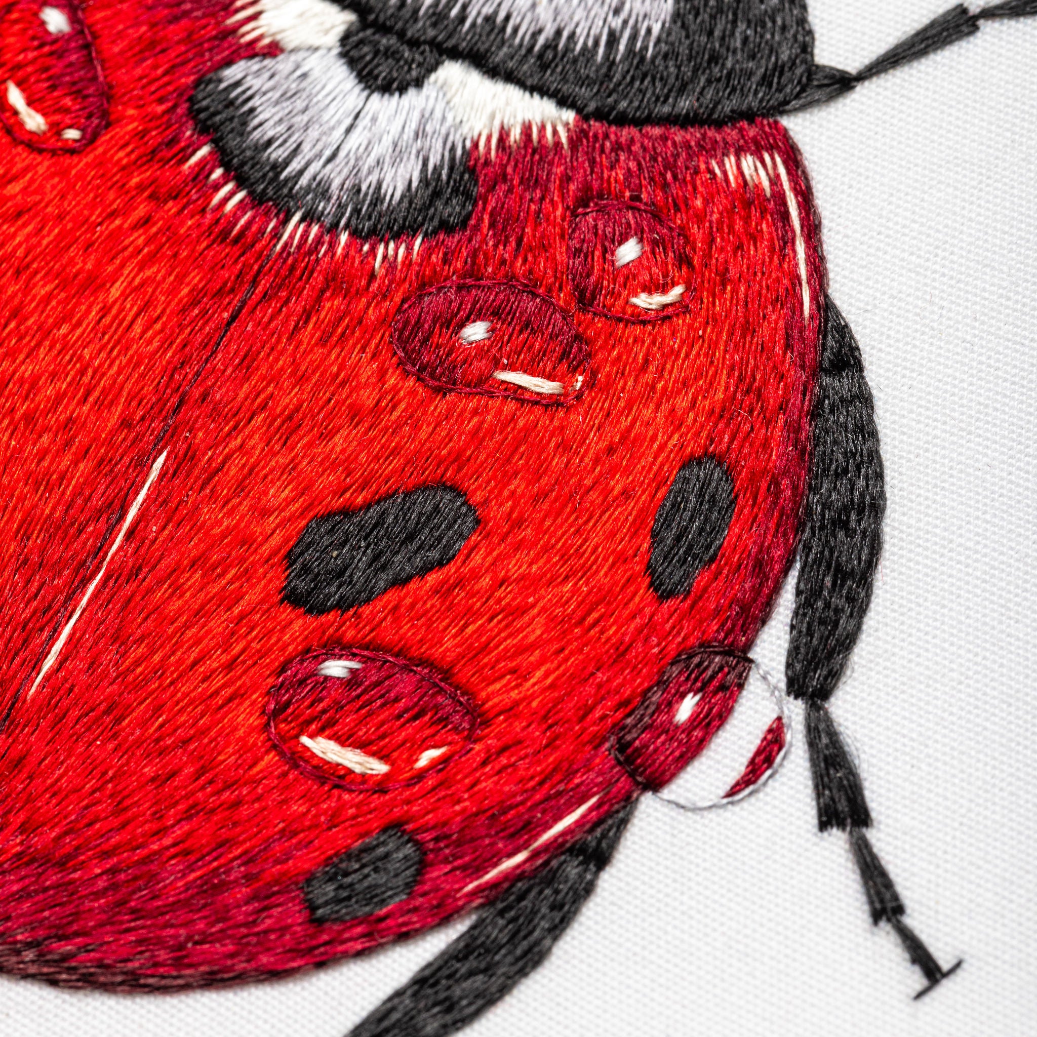 Victoria Matthewson Guest Tutor Hand Embroidery Course 'Silk Shading Ladybird'