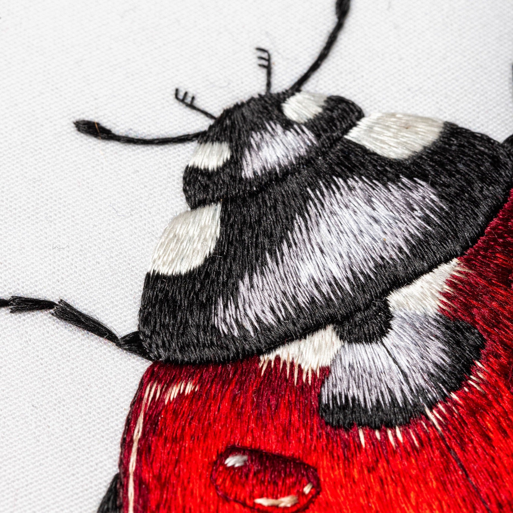 Victoria Matthewson Guest Tutor Hand Embroidery Course 'Silk Shading Ladybird'
