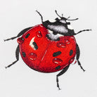 Victoria Matthewson Guest Tutor Hand Embroidery Course 'Silk Shading Ladybird'