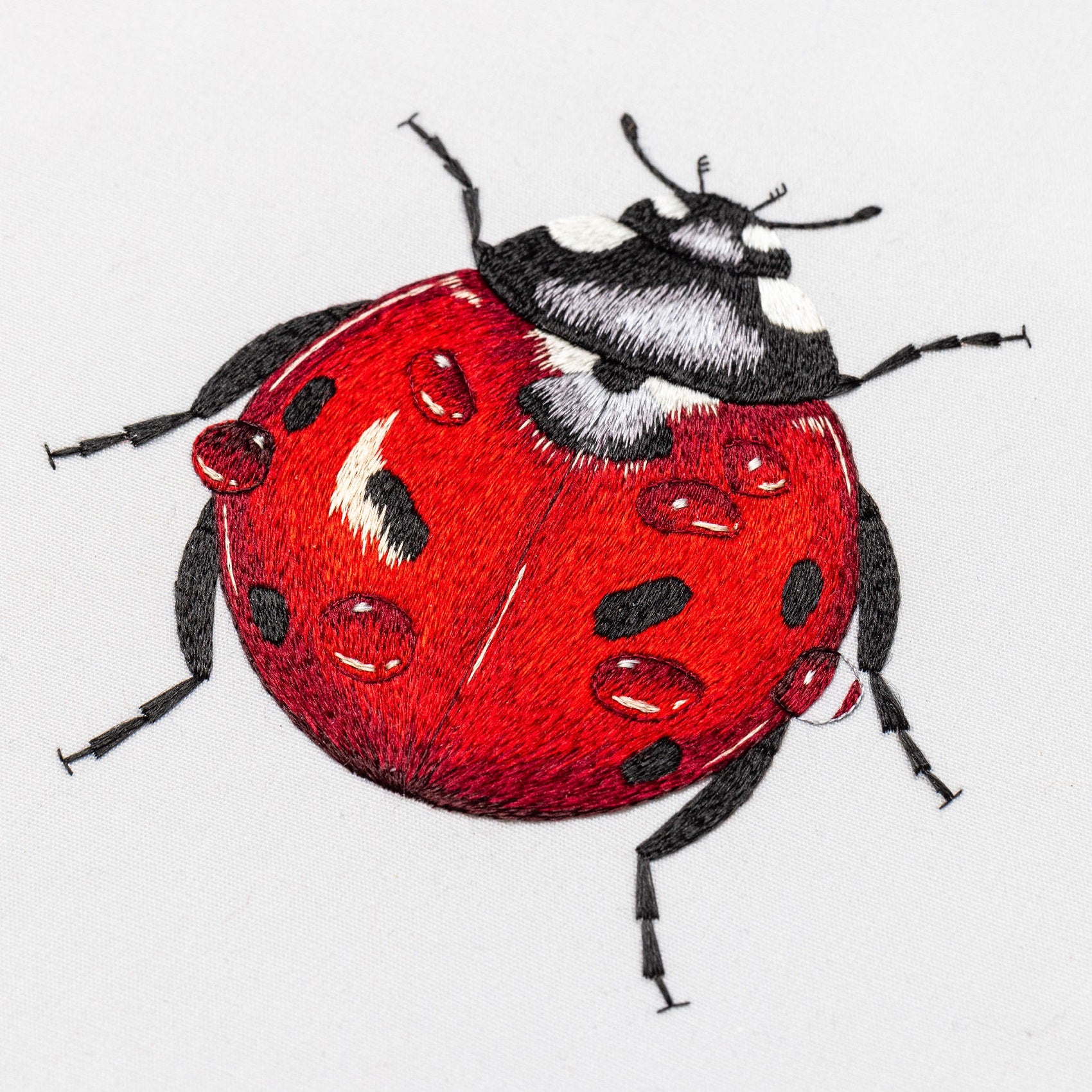 Victoria Matthewson Guest Tutor Hand Embroidery Course 'Silk Shading Ladybird'