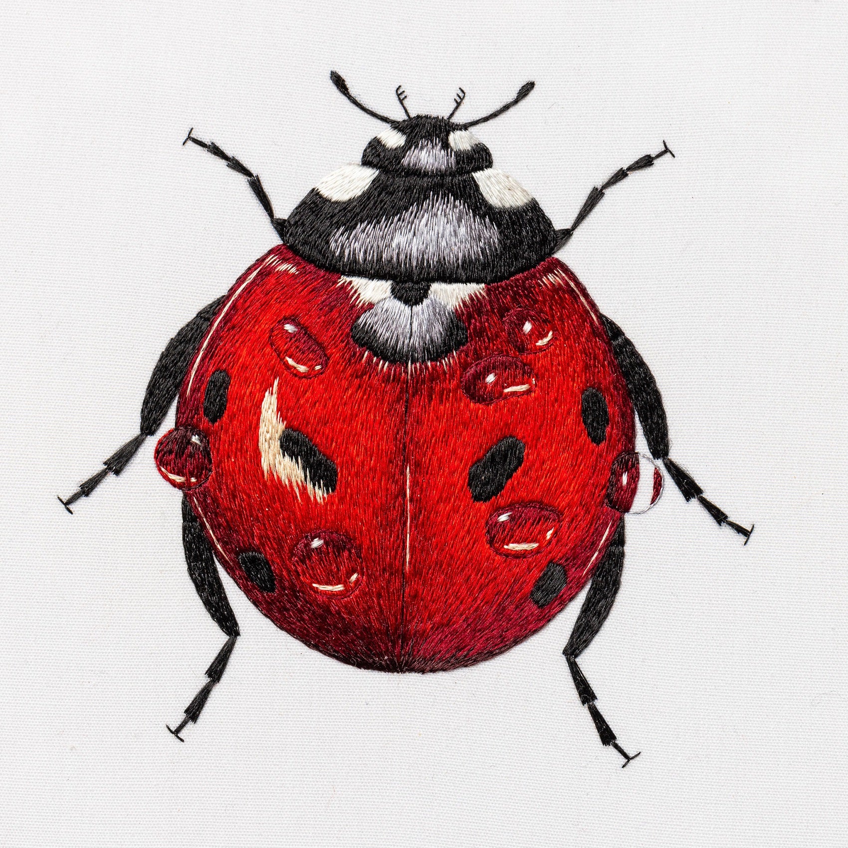Victoria Matthewson Guest Tutor Hand Embroidery Course 'Silk Shading Ladybird'