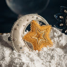 Moon and Star Clip (14746788757882)