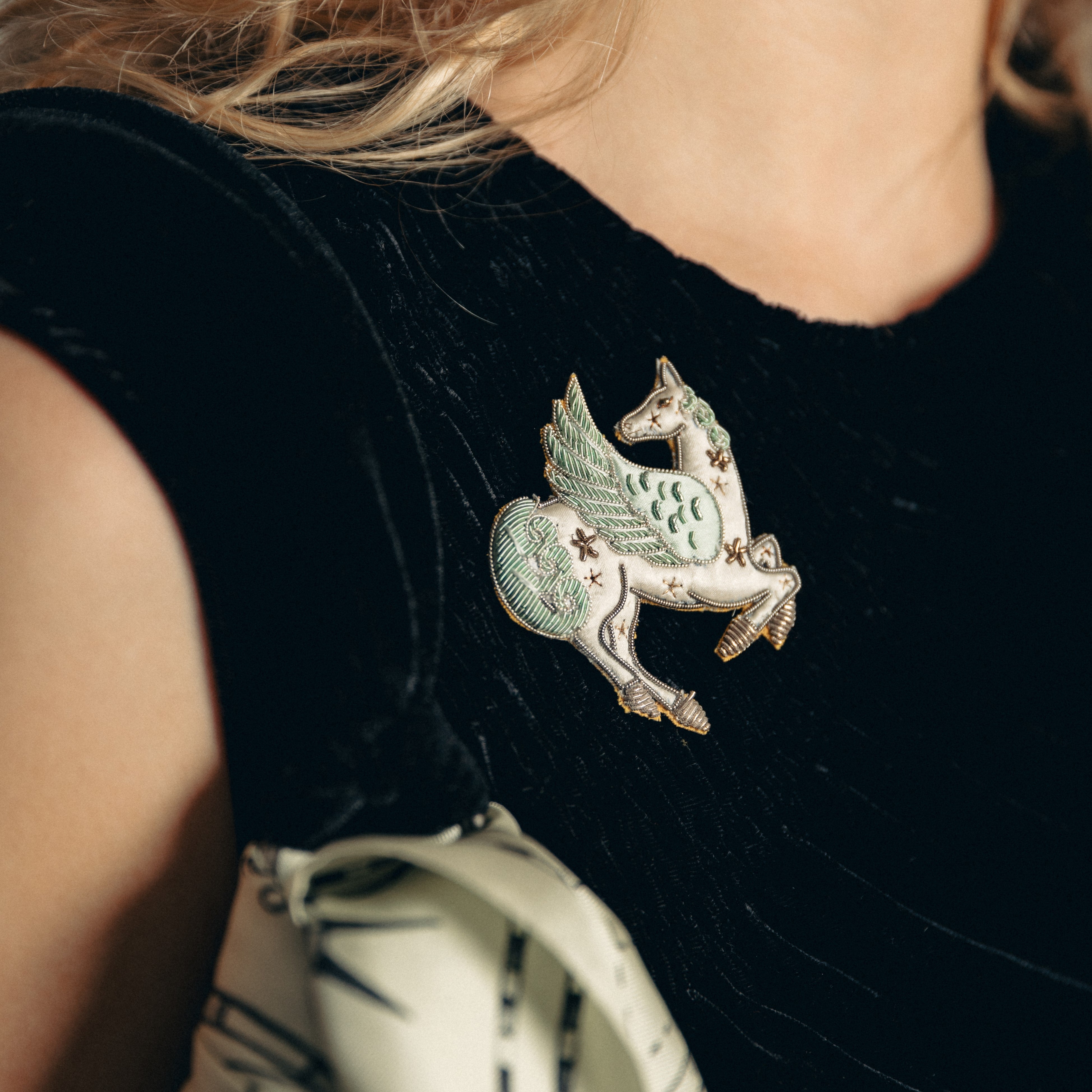 The Pegasus Brooch (14746756448634)