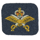 RAF Physical Training Instructor (PTI) MESS ARM BADGE (4334375600200)