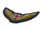 RAF AMBULANCE ATTENDANT MESS WING (4334378057800)