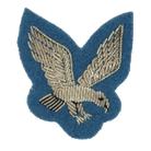 ARMY AIR CORPS NCO ARM EAGLE (4344029413448)