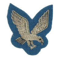 ARMY AIR CORPS NCO ARM EAGLE (4344029413448)