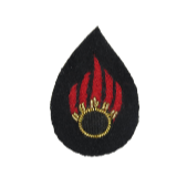 AMMUNITION TECHNICIAN NO. 1 ARM BADGE OTHER RANKS (4334317076552)