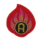 AMMUNITION TECHNICIAN EXAMINER ARM BADGE O/R ON RED (LARGE) (4334316978248)