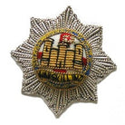 ROYAL DRAGOON GUARDS SIDE CAP & BERET BADGE (4334341816392)