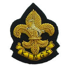 KINGS REGIMENT BERET BADGE (4334339752008)