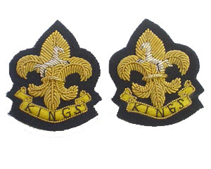 KINGS REGIMENT COLLAR BADGE (4334350925896)