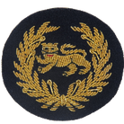 KINGS OWN BORDER REGIMENT SIDE CAP BADGE (4334349746248)