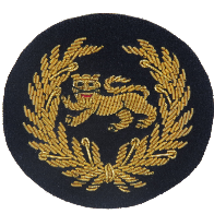 KINGS OWN BORDER REGIMENT SIDE CAP BADGE (4334349746248)