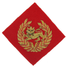 KINGS OWN BORDER REGIMENT BERET BADGE ON SCARLET DIAMOND SHAPE (4334339620936)