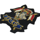 9TH/12TH ROYAL LANCERS BERET BADGE (4344045502536)