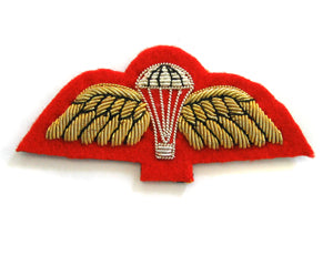 PARACHUTE WINGS - MESS DRESS (4334360363080)