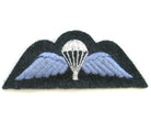 PARACHUTE WINGS ON RAF BLUE (4334377336904)