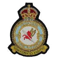 620 ROYAL AIR FORCE SQUADRON BLAZER BADGE (4344118149192)