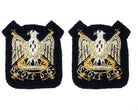 ROYAL SCOTS DRAGOON GUARDS MESS DRESS EAGLES (4334352695368)