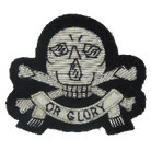 17TH/21ST ROYAL LANCERS BERET BADGE (4344050909256)
