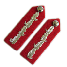 English Lord Lieutenant NO 1 Dress Oakleaf Gorgets (4334496448584)