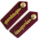 General's Service Dress Oakleaf Gorgets Medical Maroon (4334492713032)