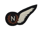 RAF Half Wing Navigator Fullsize No1 (silk) (4334577975368)