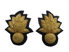 ROYAL WELSH FUSILIERS OTHER RANKS COLLAR BADGES (4334352465992)