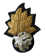 ROYAL WELSH FUSILIERS BERET BADGE (4334453751880)
