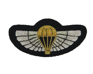 SPECIAL AIR SERVICE (SAS) NO1 DRESS WINGS (4334674968648)