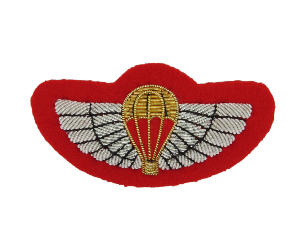 SPECIAL AIR SERVICE (SAS) NO1 DRESS WINGS (4334674968648)
