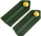 Staff Service Dress Gorgets Dental Green (4334492123208)