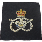 STAFFORDSHIRE REGIMENT BLAZER BADGE (4334348369992)