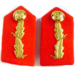 UNITED ARAB EMIRATES SSO DRESS GORGET OAKLEAF (4334433173576)