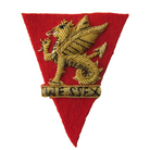 WESSEX REGIMENT VOLUNTEERS BERET BADGE (4344063819848)