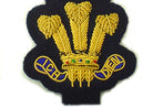 WELSH DEPUTY LORD LIEUTENANT CAP BADGE (4344132436040)